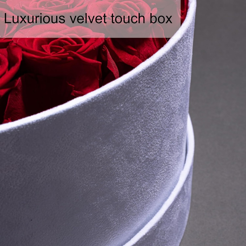 50 Velvet Box Roses, Preserved - Home Decor Tulip review and price