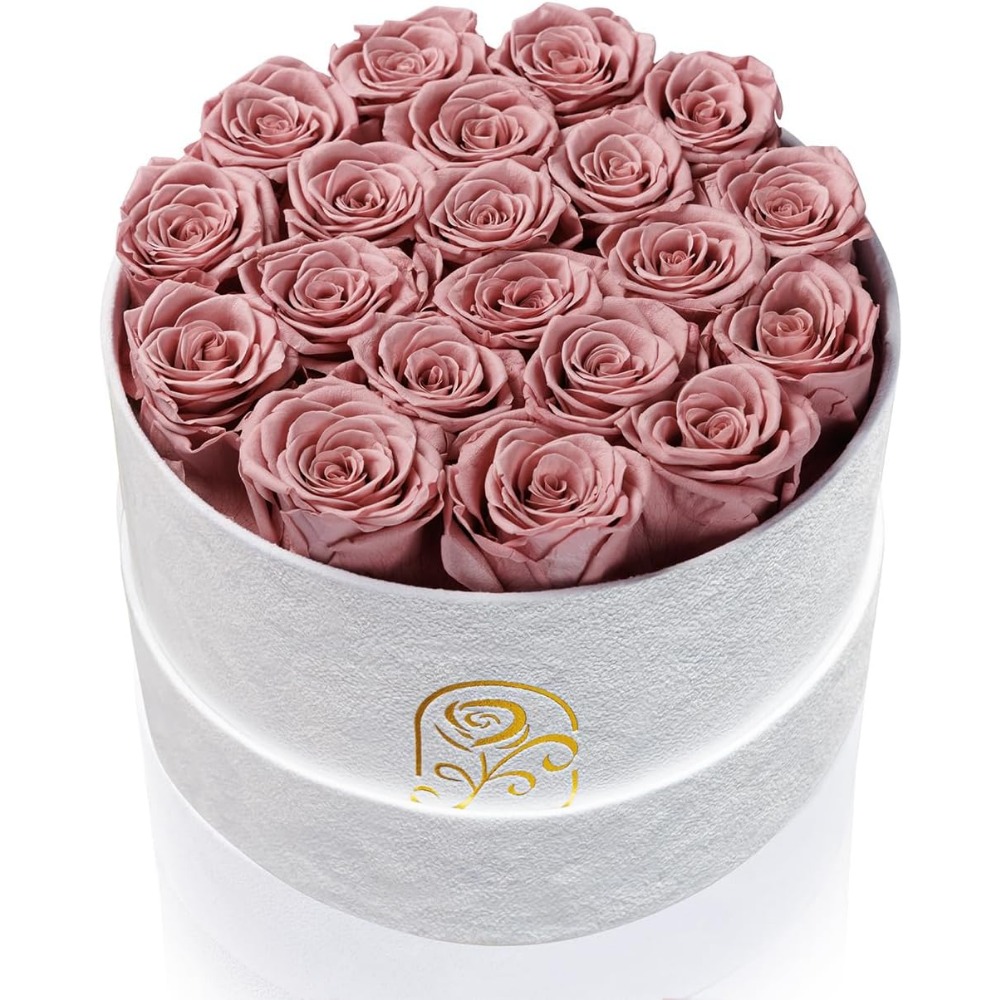 Preserved Roses Velvet Box, La - Home Decor Tulip review and price