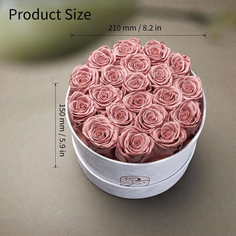 Preserved Roses Velvet Box, La - Home Decor Tulip review and price