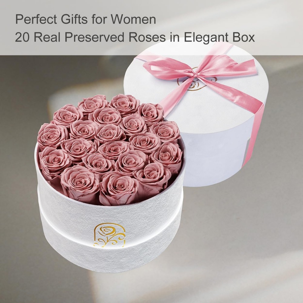 Preserved Roses Velvet Box, La - Home Decor Tulip review and price