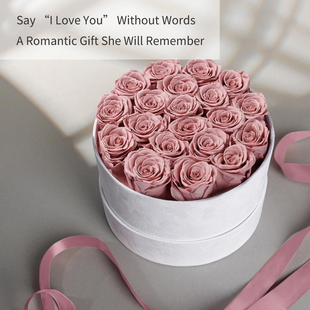 Preserved Roses Velvet Box, La - Home Decor Tulip review and price