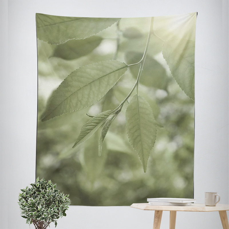 Home decorations room decor wa - Home Decor Indonesia review and price