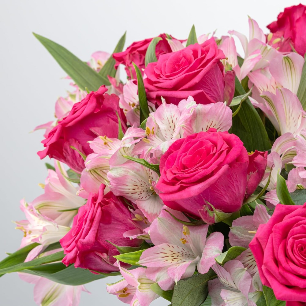 Elegant Rose and Alstroemeria  - Home Decor Tulip review and price