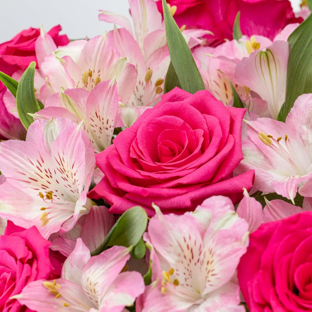 Elegant Rose and Alstroemeria  - Home Decor Tulip review and price